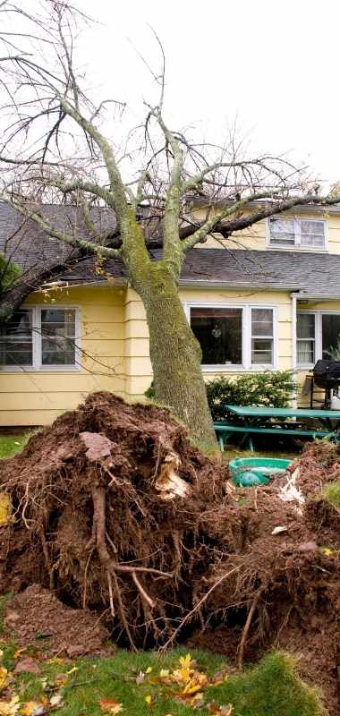 sb76 and home damage property insurance claim